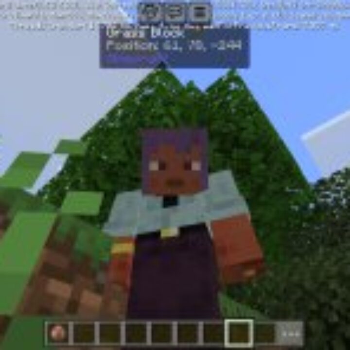 WAIO Mod for Minecraft PE