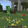 Damage Effects Mod for Minecraft PE