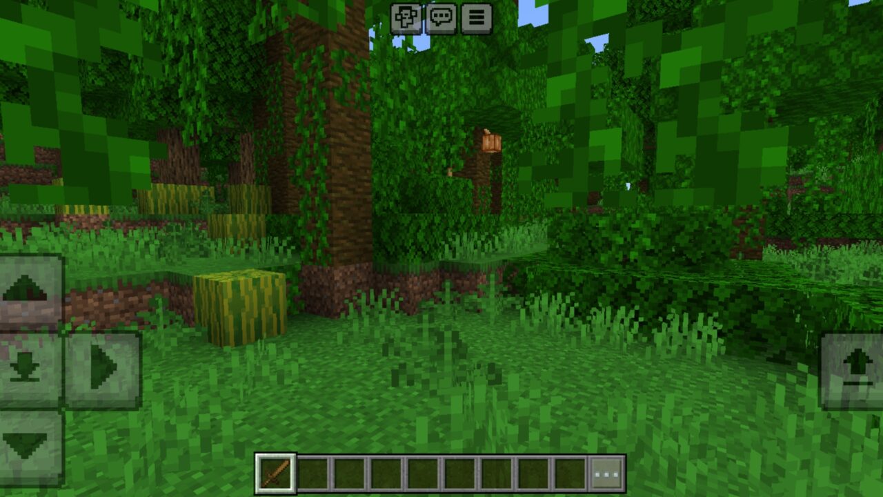 Invisible from Vanish Mod for Minecraft PE