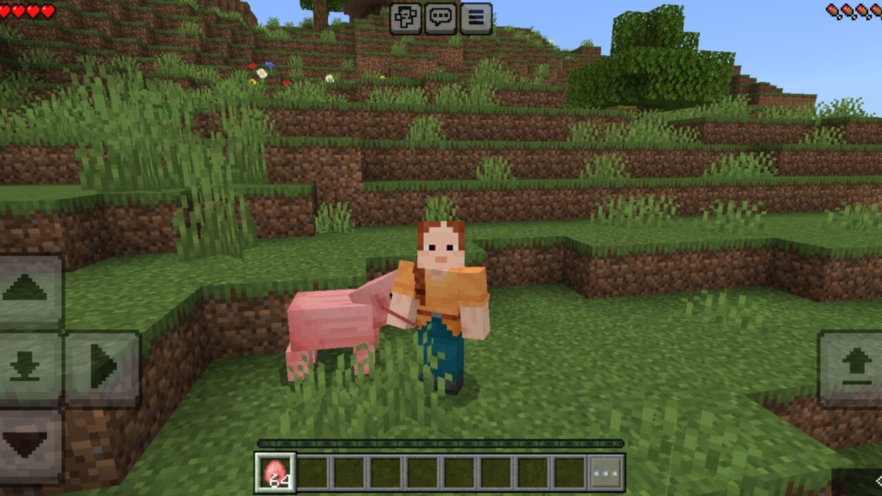 One from Nearby Mobs Mod for Minecraft PE