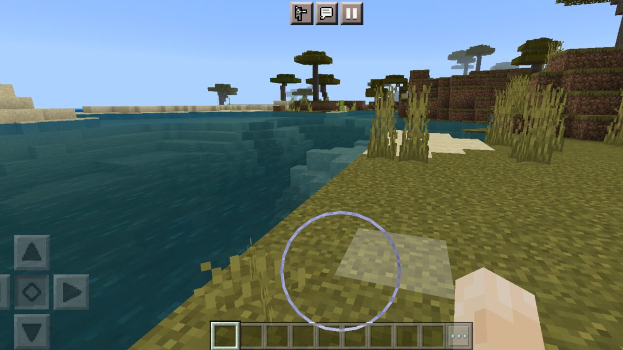 Options from Block Outline and Overlay Texture Pack for Minecraft PE