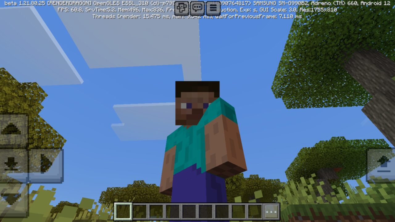 Options from Threed Player Texture Pack for Minecraft PE
