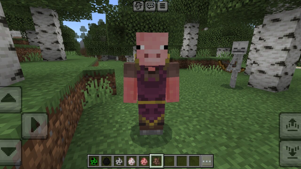 Trader from Pigmans Texture Pack for Minecraft PE