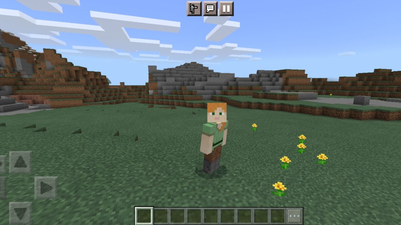 Use It from Detailed Animation Mod for Minecraft PE