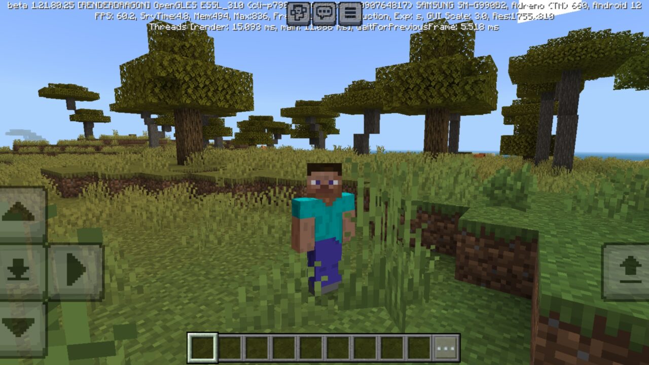 Use It from Threed Player Texture Pack for Minecraft PE