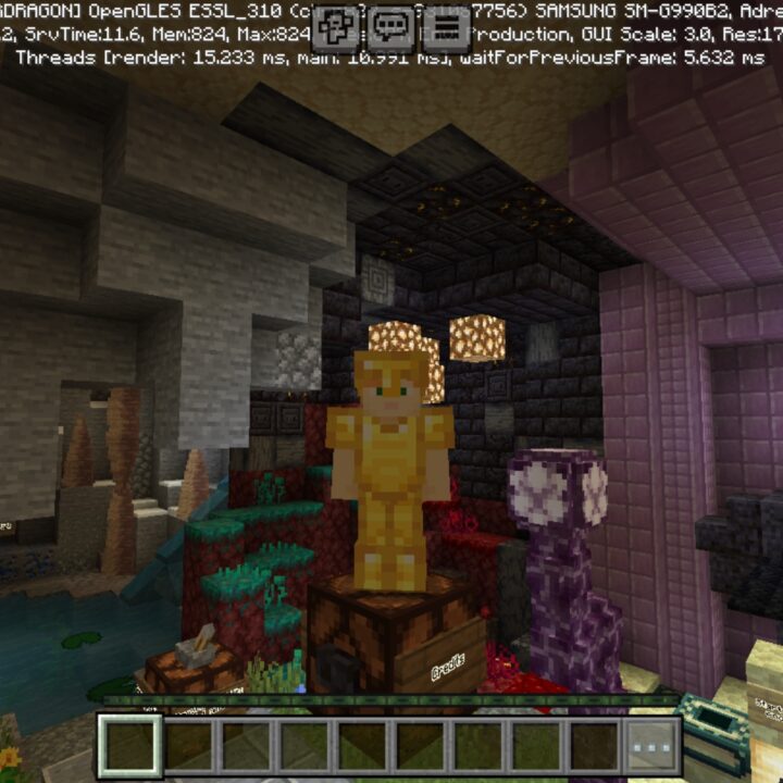 Biomes Hide and Seek Map for Minecraft PE