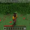 Health Regeneration Mod for Minecraft PE