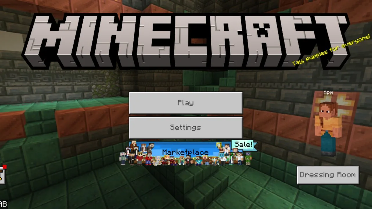 Remove from Beta Hider Texture Pack for Minecraft PE