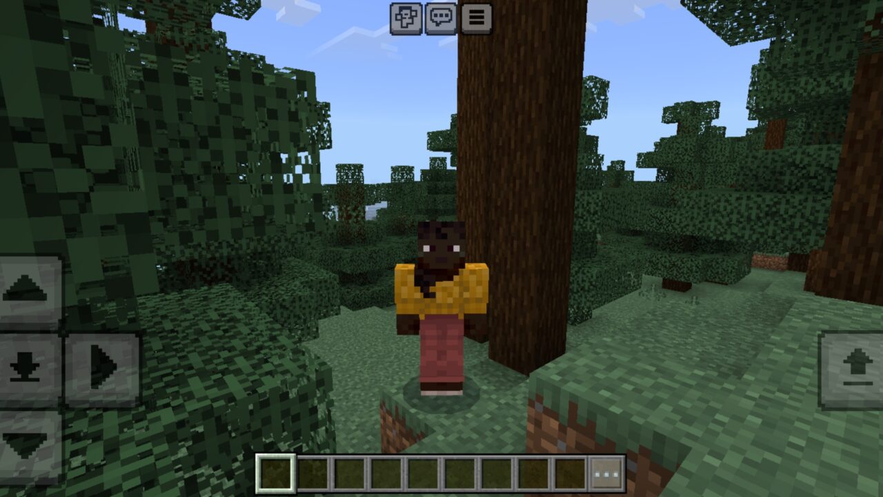 Use It from Beta Hider Texture Pack for Minecraft PE