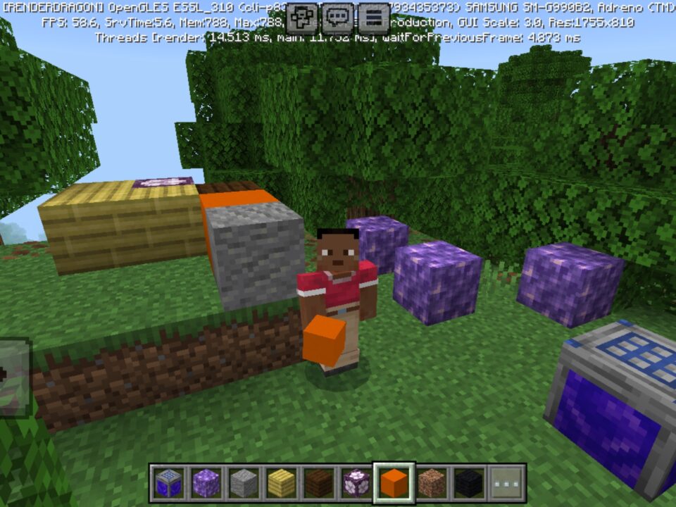 Walk Through Blocks Mod for Minecraft PE