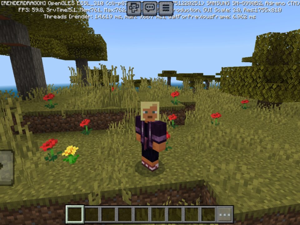 No Hurt Cam Texture Pack for Minecraft PE