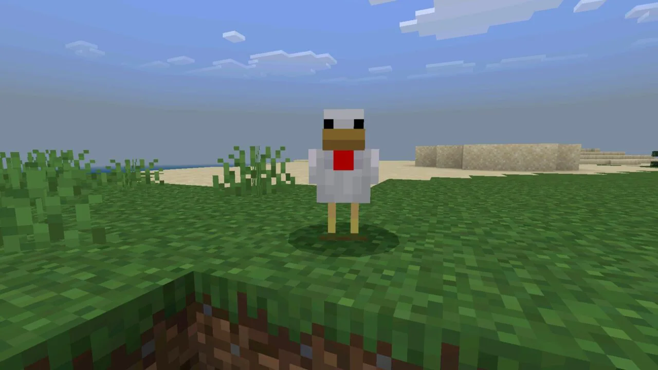 Chicken from Realism Mod for Minecraft PE