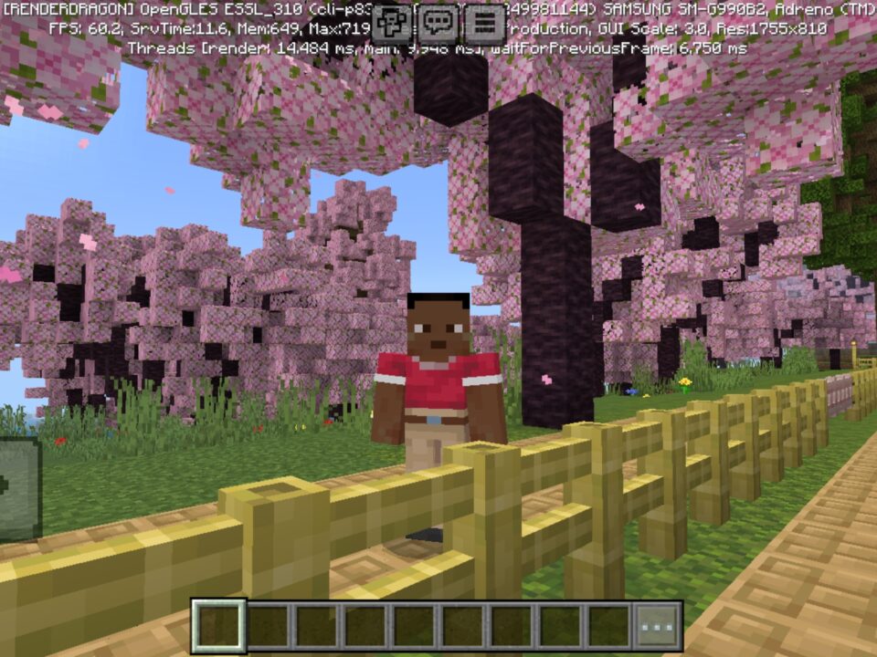 Pink House Map for Minecraft PE