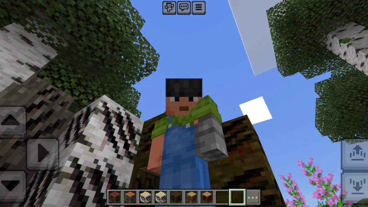 TOWW Mod for Minecraft PE