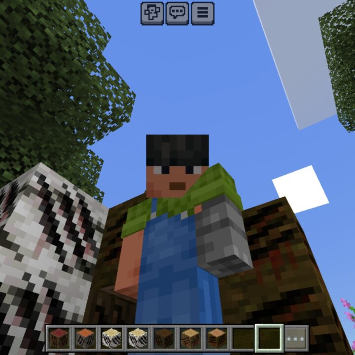 TOWW Mod for Minecraft PE