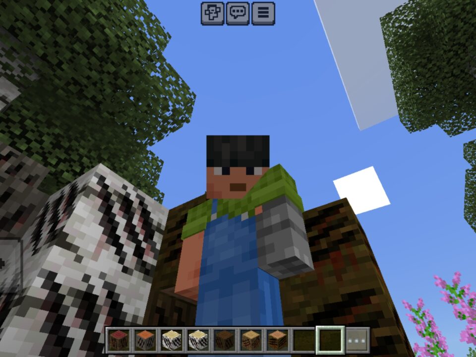 TOWW Mod for Minecraft PE