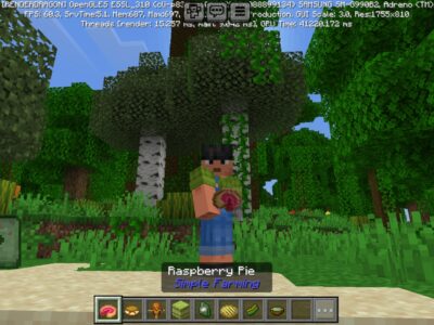 Grow a Garden Mod for Minecraft PE