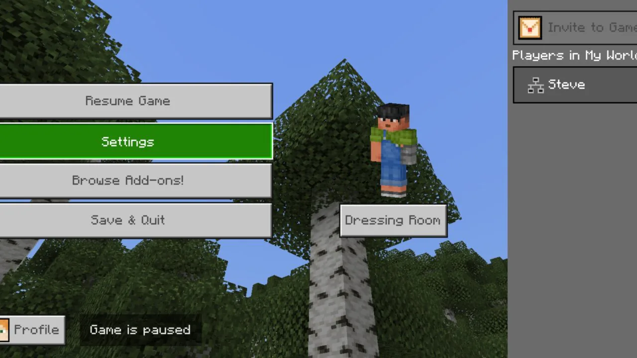 Pause from Fly UI Texture Pack for Minecraft PE