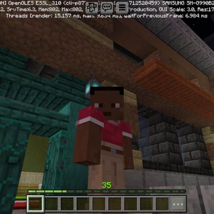 Pokemon Style Town Map for Minecraft PE