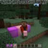 Realms Mods for Minecraft PE