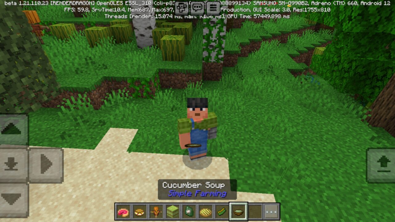 Soup from Grow a Garden Mod for Minecraft PE