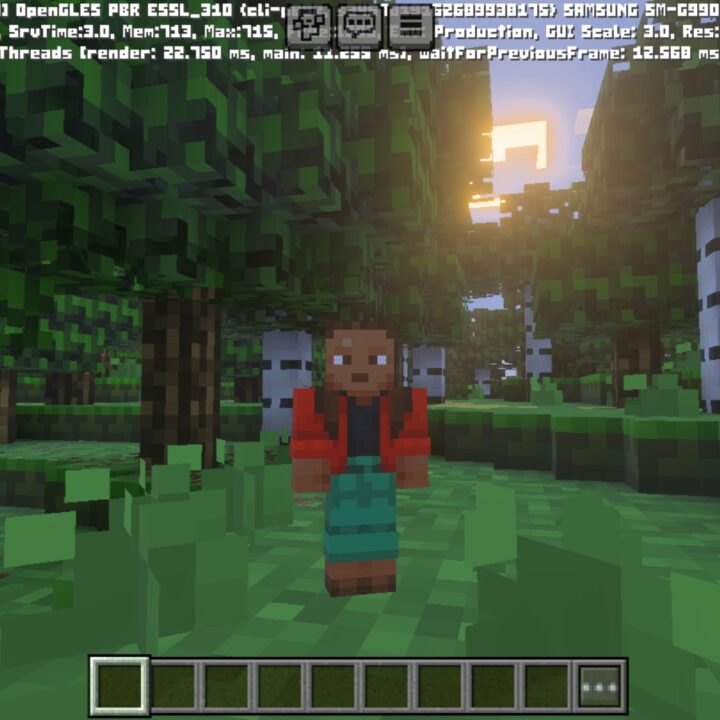 2 x 2 Texture Pack for Minecraft PE