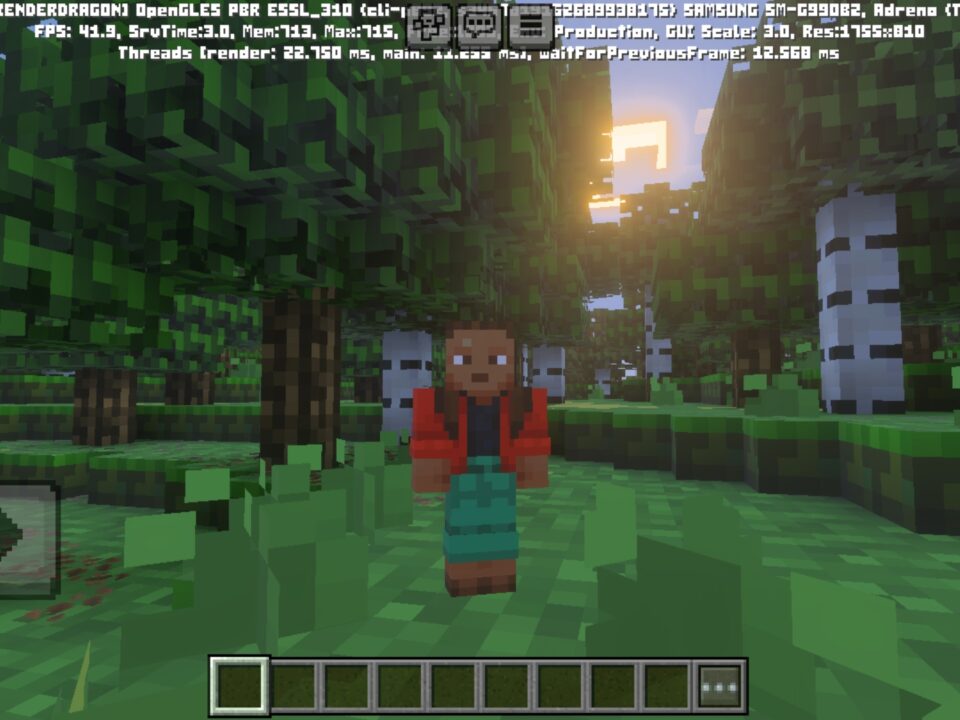 2 x 2 Texture Pack for Minecraft PE