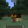 Fat Cats Mod for Minecraft PE