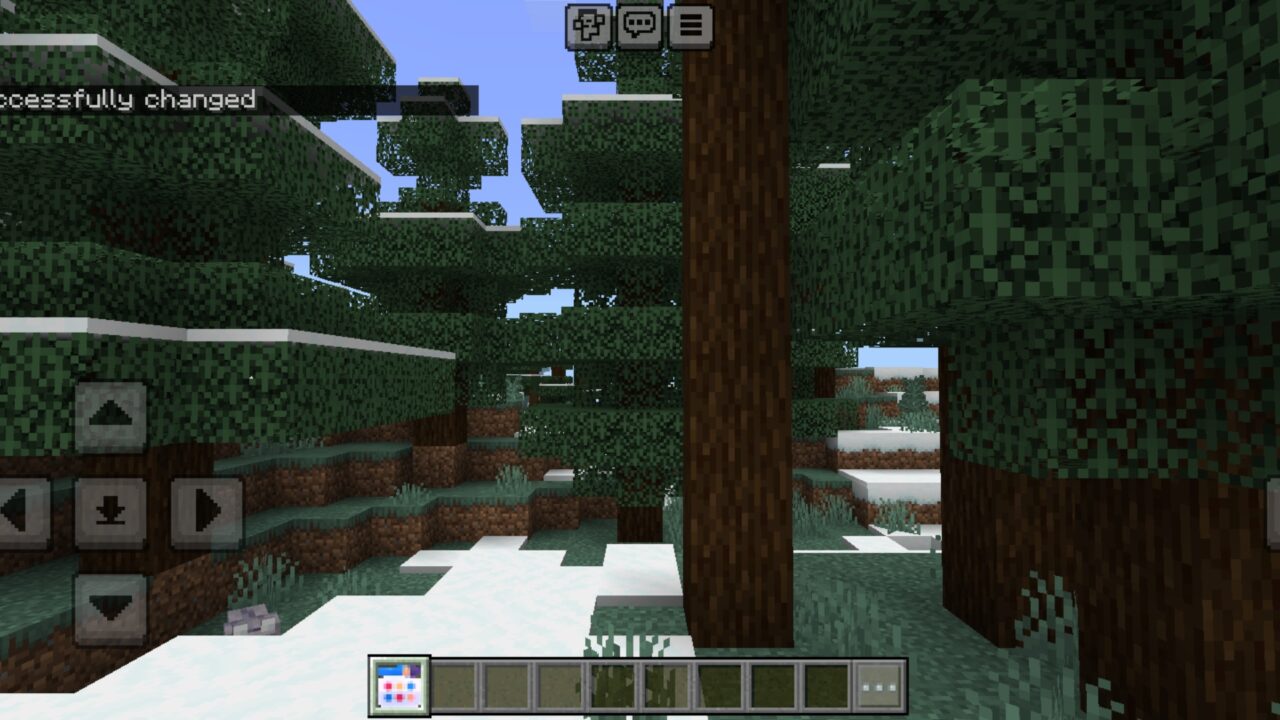 Info from Changer Skin Mod for Minecraft PE