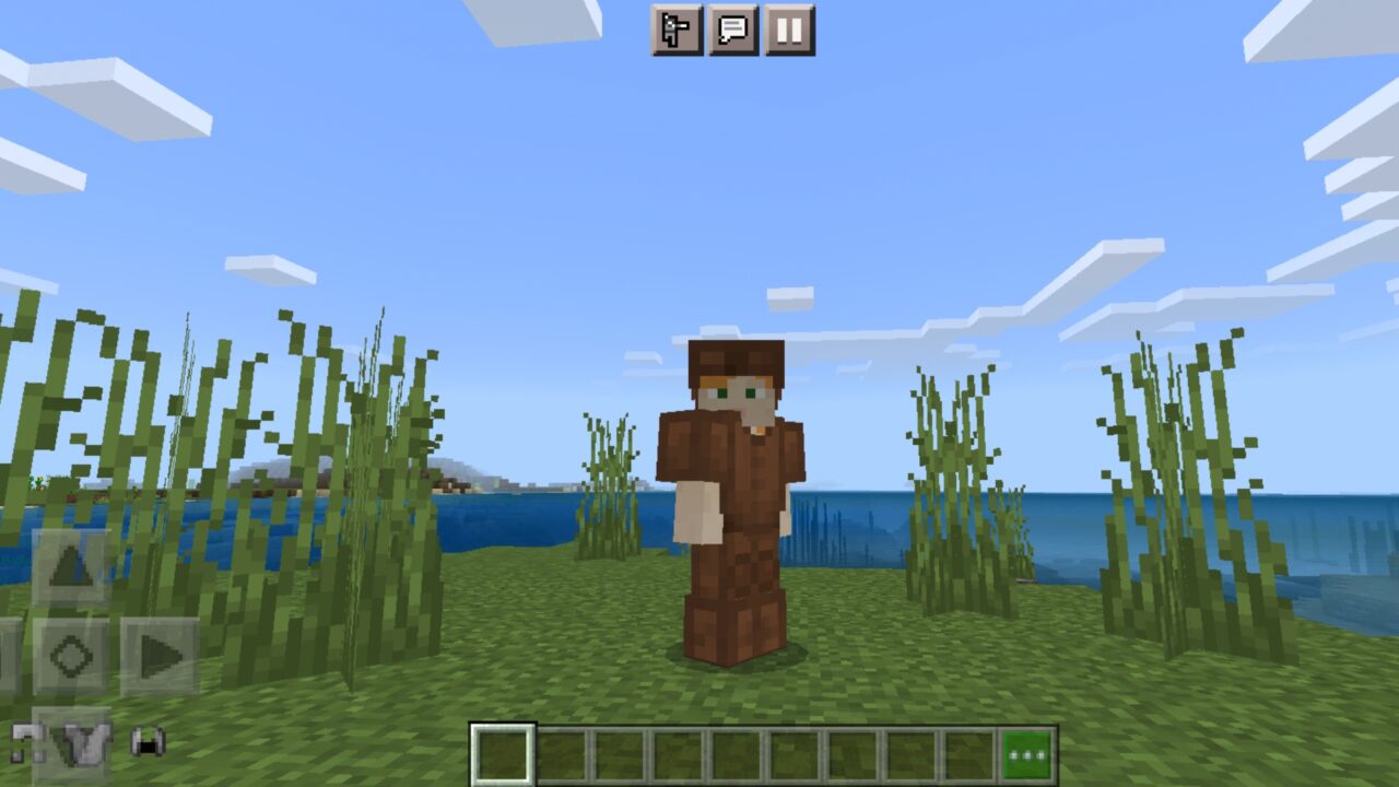 Leather from Armor HUD Mod for Minecraft PE