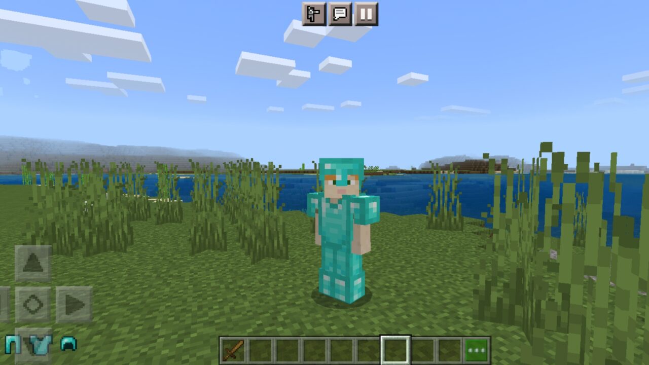 Options from Armor HUD Mod for Minecraft PE