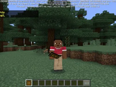 Server Helper Mod for Minecraft PE