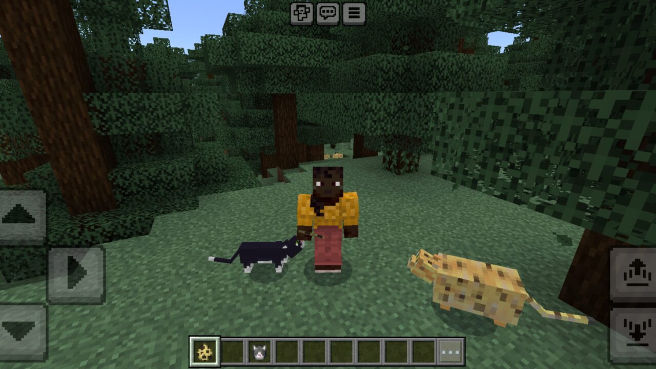 Variants fom Fat Cats Mod for Minecraft PE