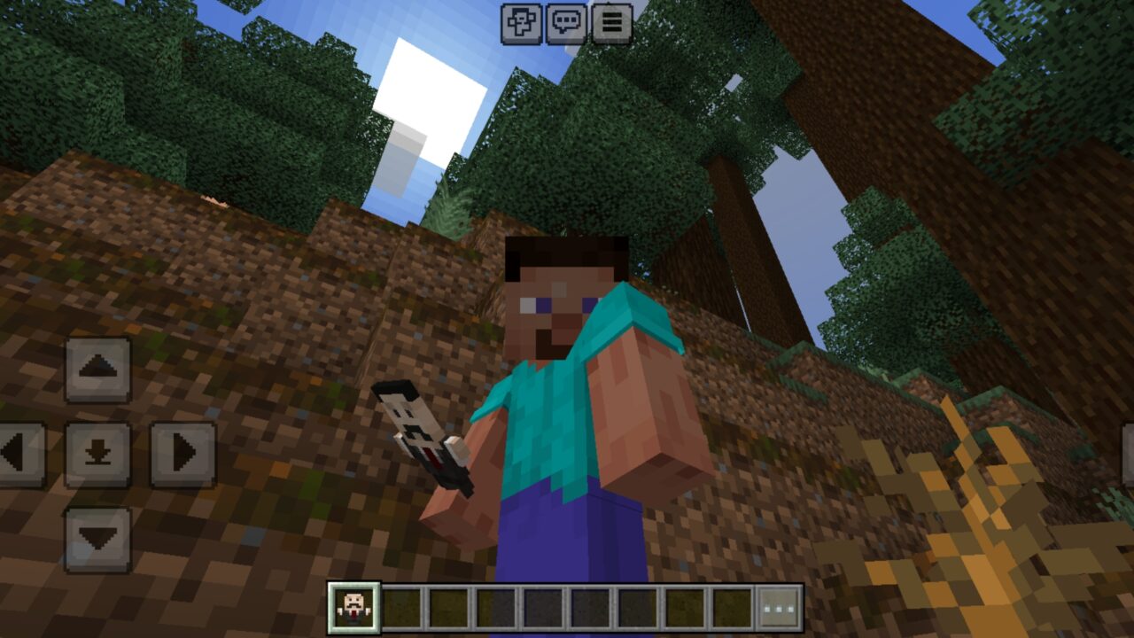 New Look from Youtuber Totems Texture Pack for Minecraft PE