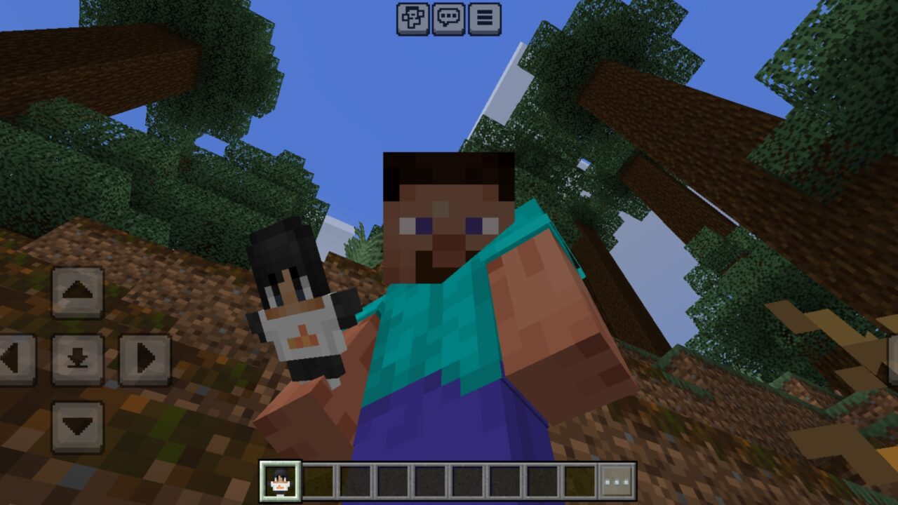 Options from Youtuber Totems Texture Pack for Minecraft PE