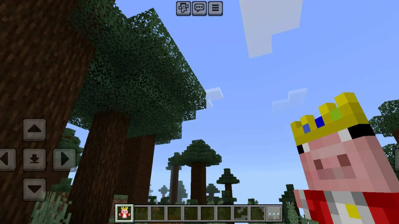 Youtuber Totems Texture Pack for Minecraft PE