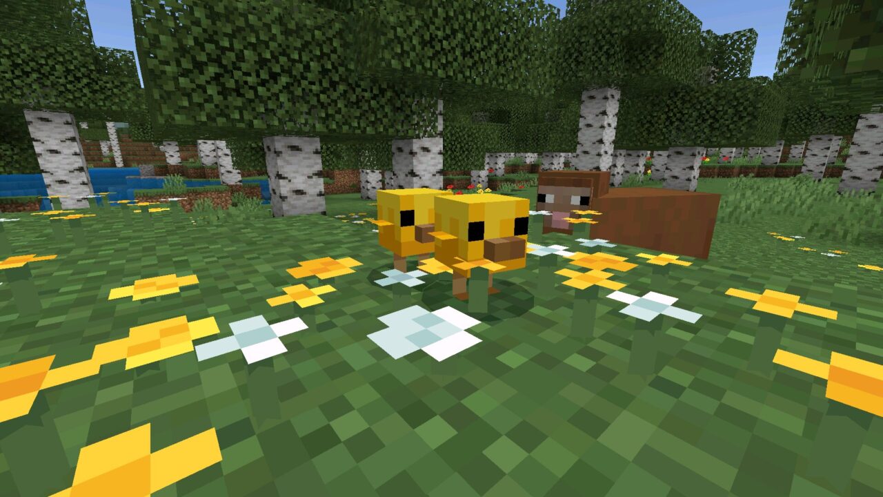 Chickens from Minecraft 26