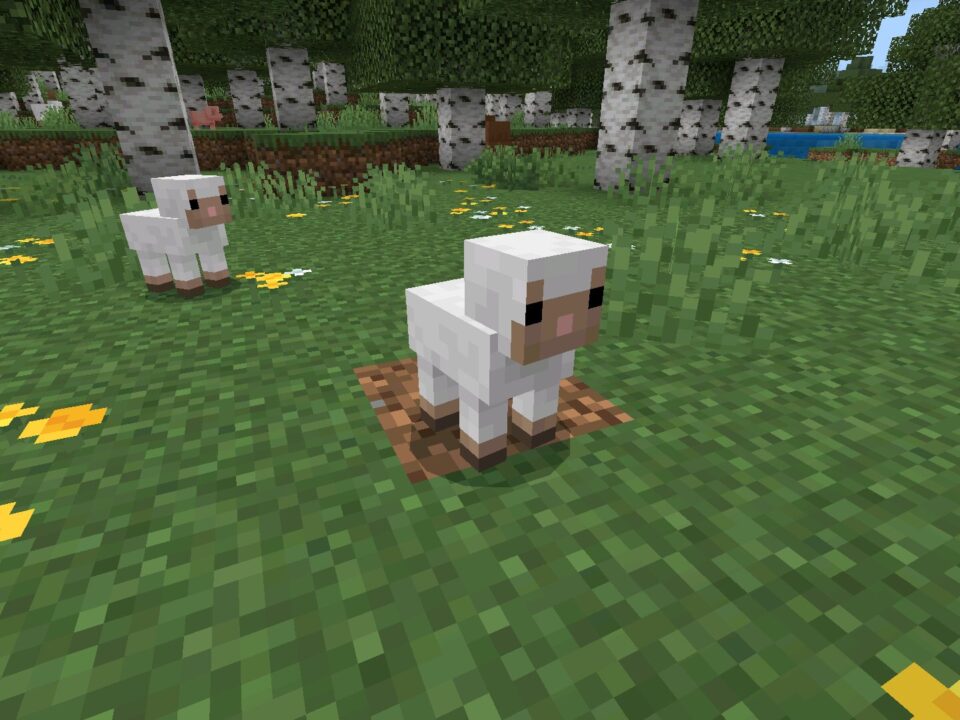 Minecraft 26.20.20 (1.26.20.20) APK