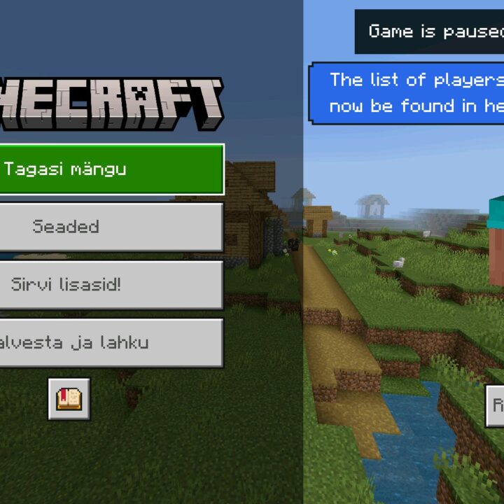 Estonian Language Texture Pack for Minecraft PE