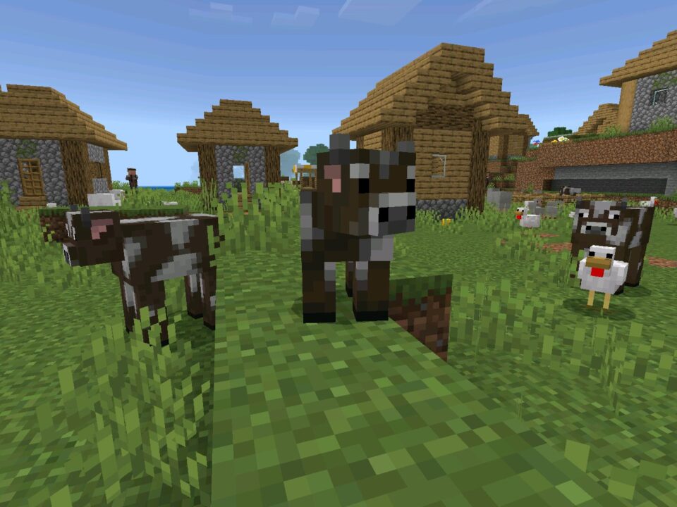 Minecraft 26.10.25 (1.26.10.25) APK