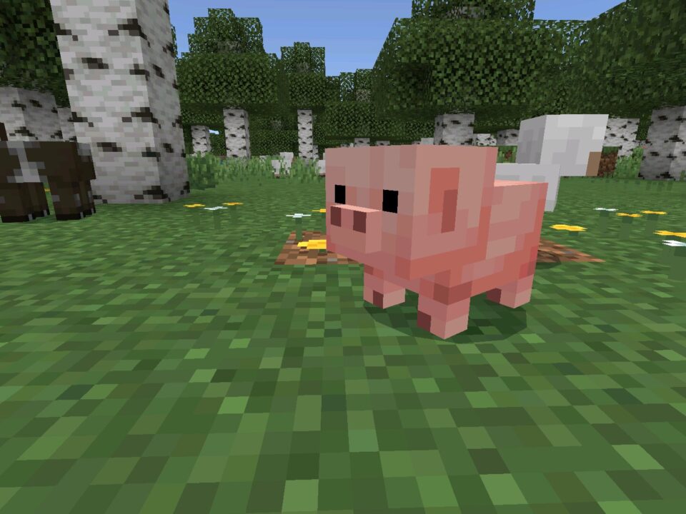 Minecraft 26.13 (1.26.13) Hotfix