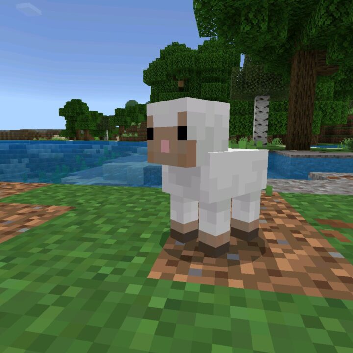 Download Minecraft 26.2 APK (1.26.2) for Android