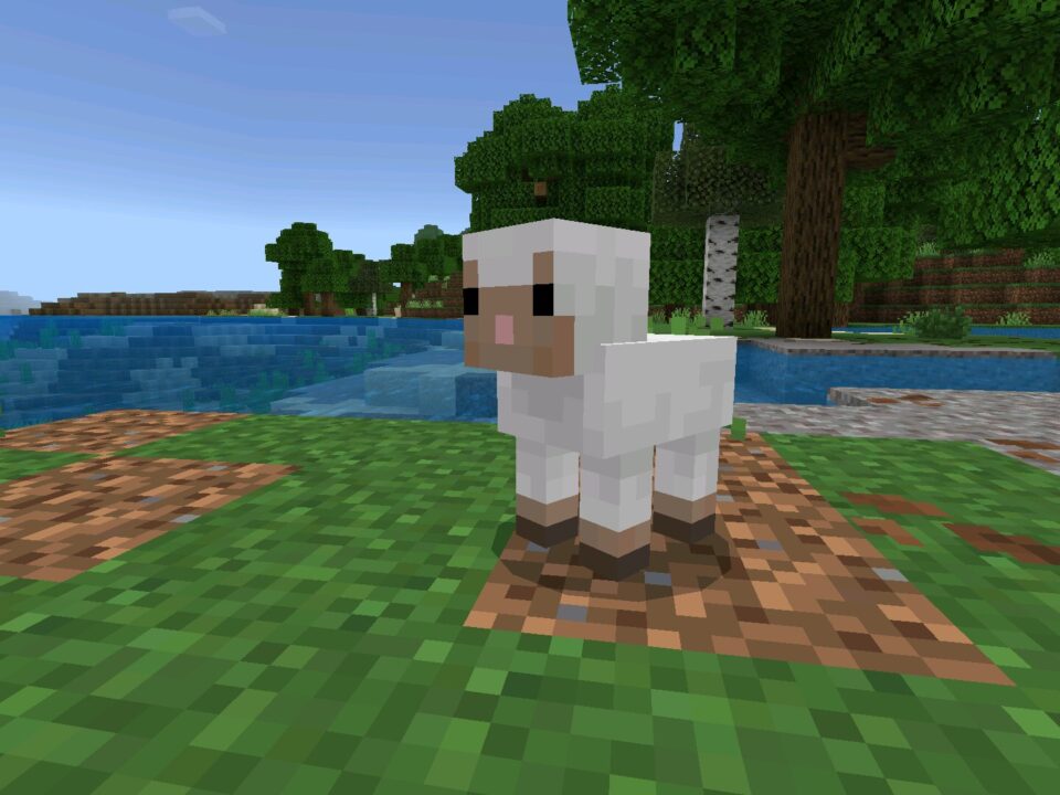 Download Minecraft 26.2 APK (1.26.2) for Android