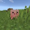 Download Minecraft 26.10 (1.26.10)
