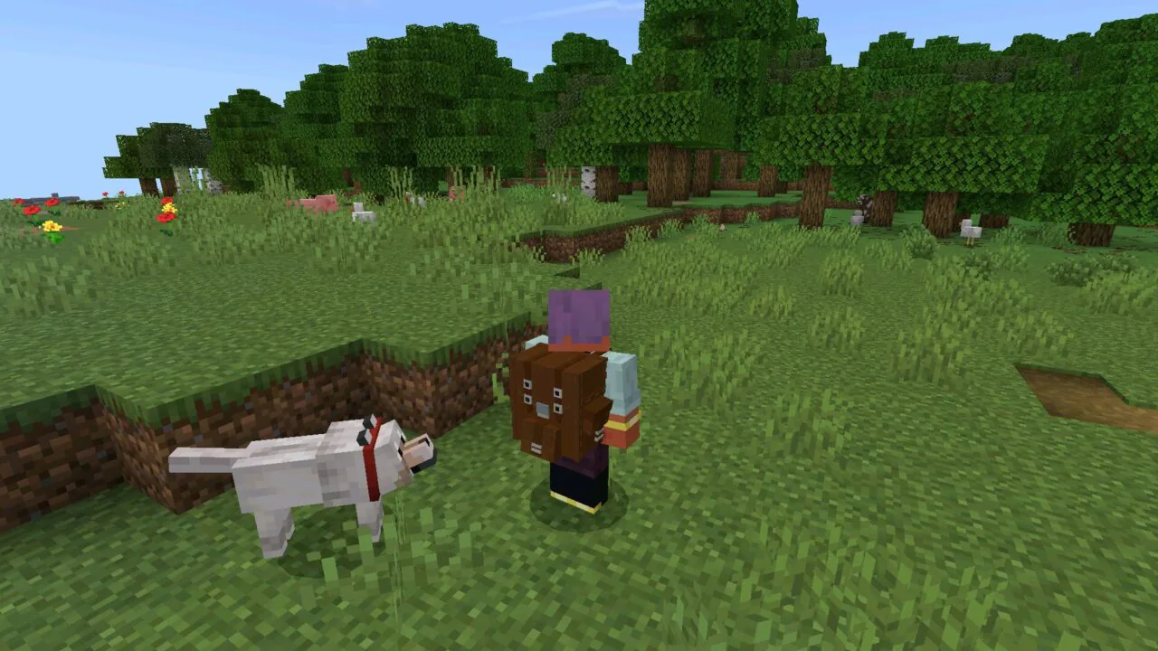 Backpack from Hycraft Mod for Minecraft PE