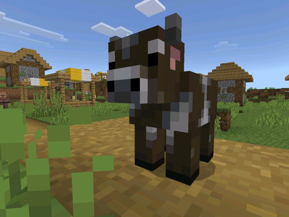 Minecraft 26.20.20 (1.26.20.20) APK