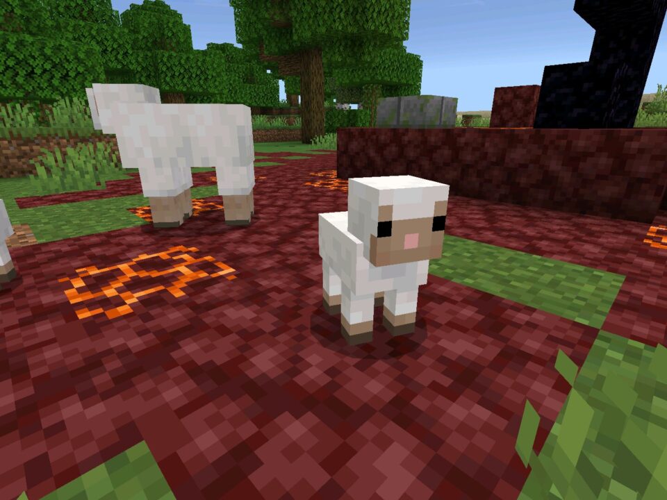 Minecraft 26.20.21 (1.26.20.21)