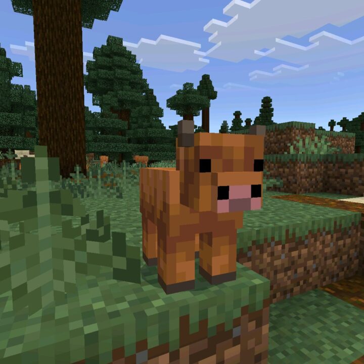 Minecraft 26.10.27 (1.26.10.27)