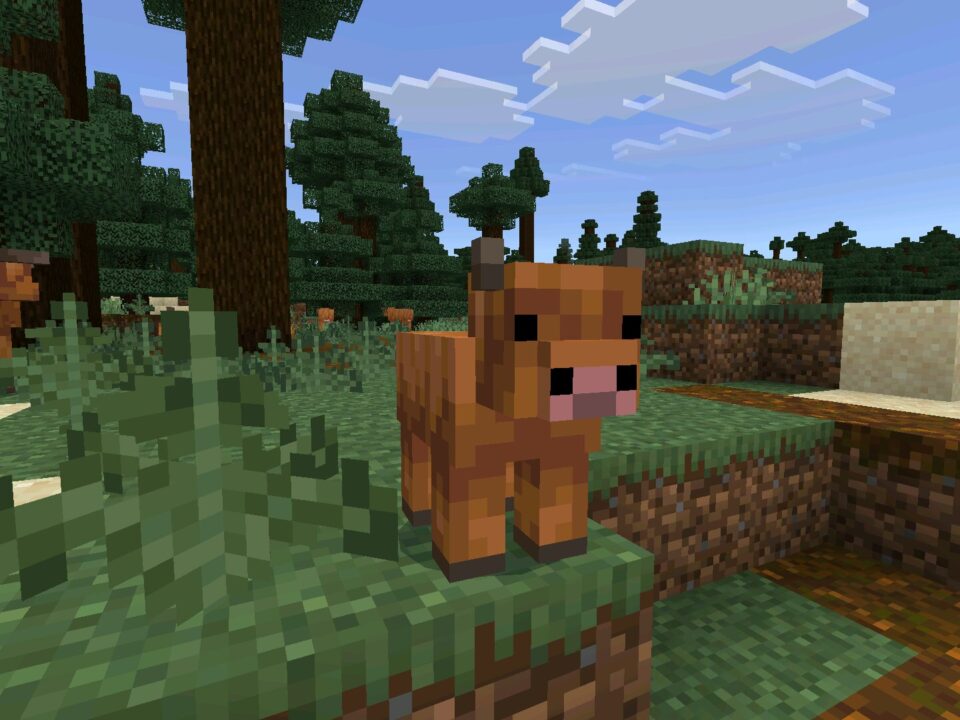 Minecraft 26.10.27 (1.26.10.27)