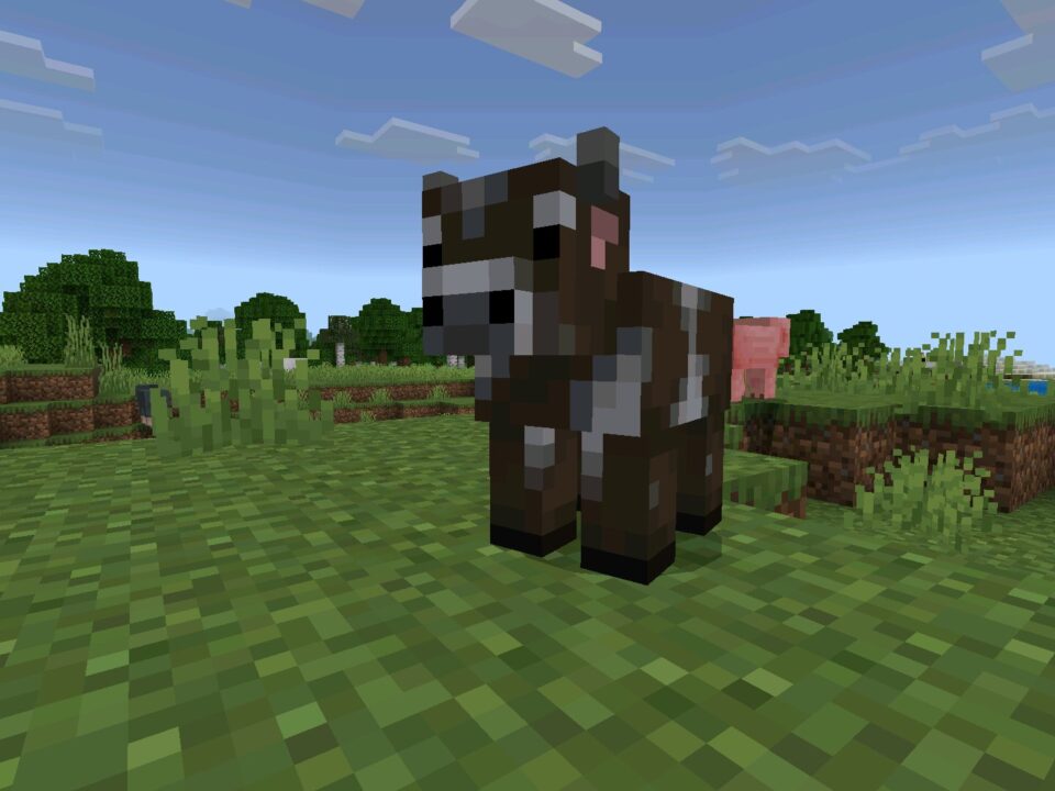 Minecraft 26.13 (1.26.13) Hotfix